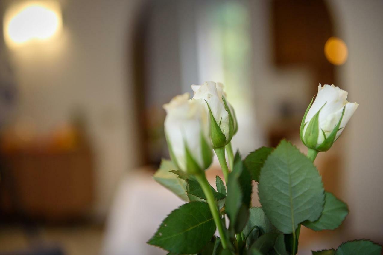 Sweet Bed & Breakfast 3*